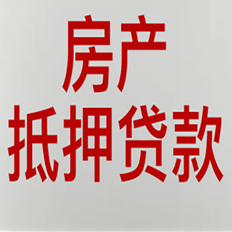 朝天贷款中介公司新渝启服能力强